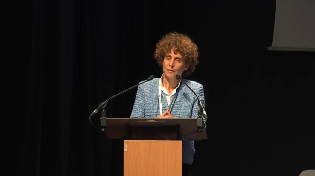 pasted image 0 (3).png